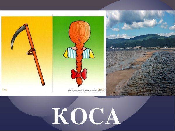 Омонимы в картинках 5 класс