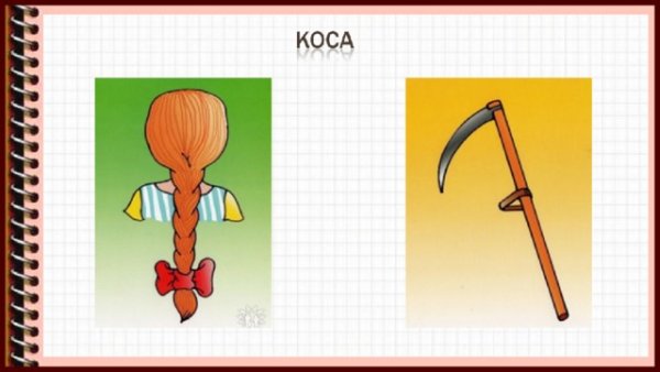 Коса омонимы