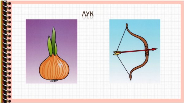 Омонимы кисть