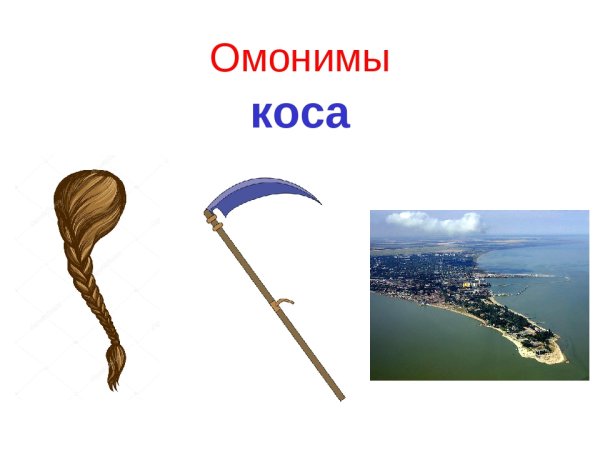Слова омонимы