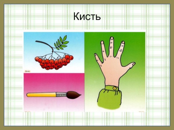 Омонимы для дошкольников