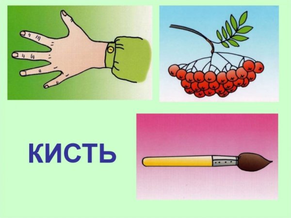 Омонимы рисунки