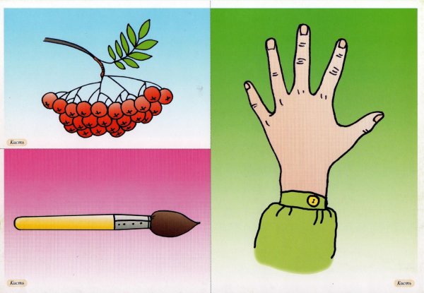 Омонимы для детей