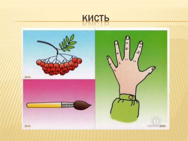 Ключ это омоним или многозначное слово