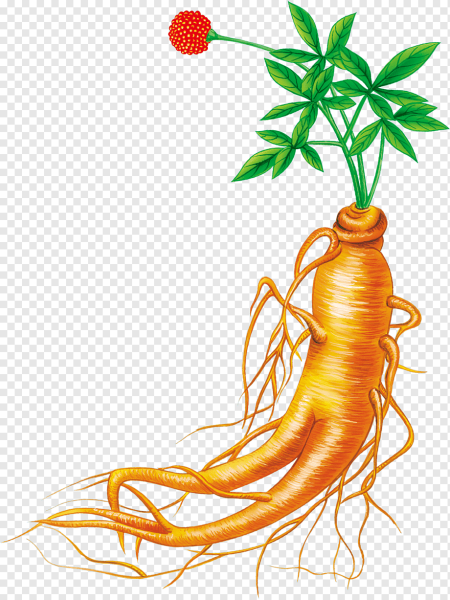 Ginsana женьшень