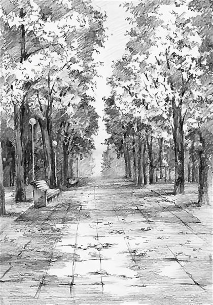 Парковый пейзаж карандашом