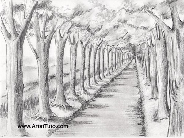 Линейная перспектива перспектива аллея