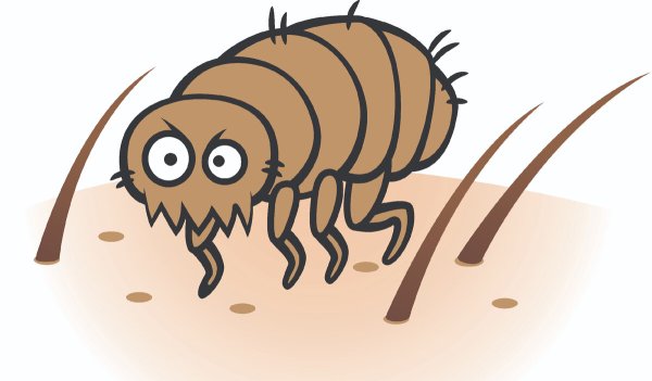 Вши мультяшные