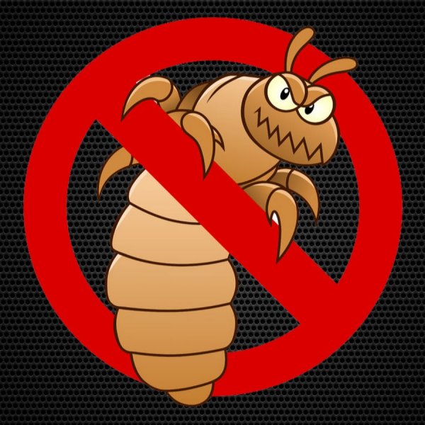 Блоха из мультика