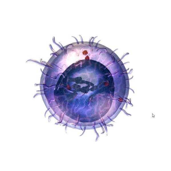 Функция NK лимфоцитов