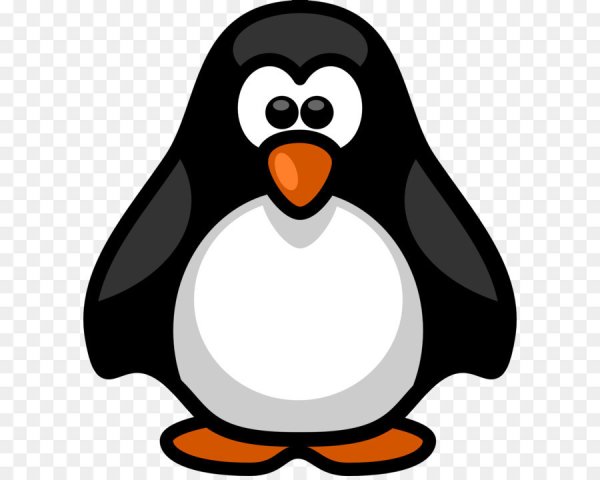 Голова пингвина