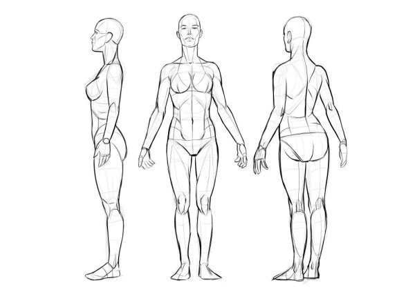 Лицо человека в профиль