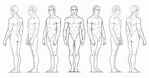 Лицо в профиль референс