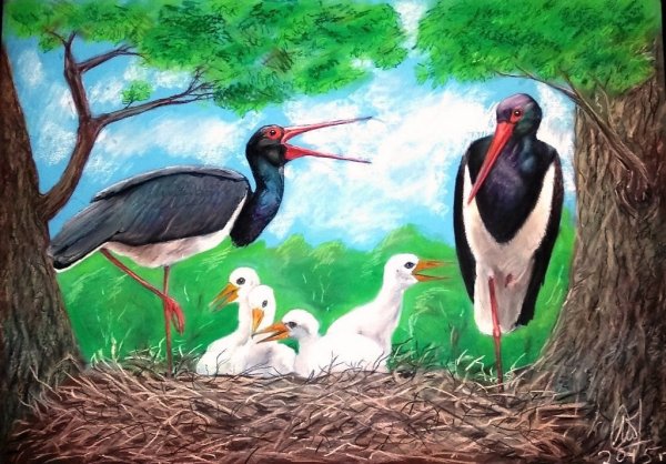 Аист пастелью