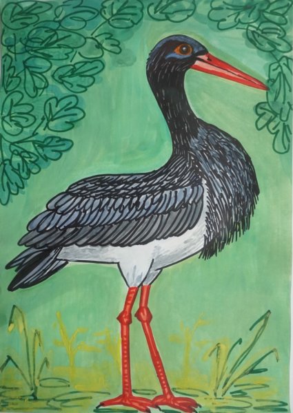 Чёрный айис карандашом