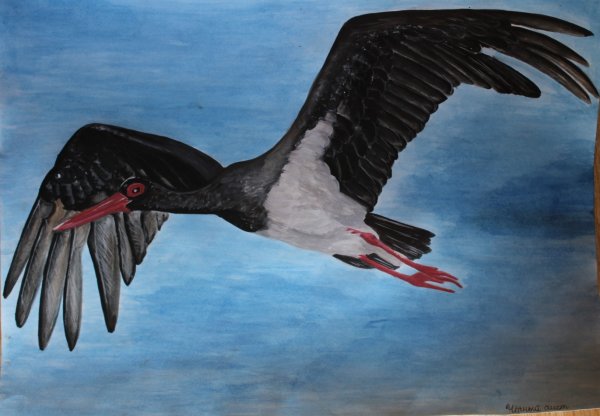 Конкурс рисунков черный Аист