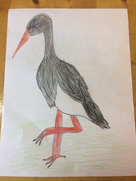 Чёрный айис карандашом