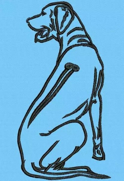 Родезийский риджбек Татуировка