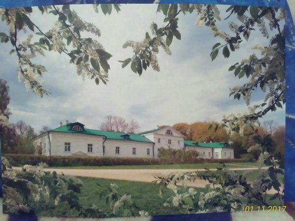 Усадьба Льва Толстого Ясная Поляна картина