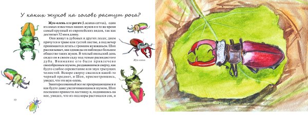 Жук олень модель снизу