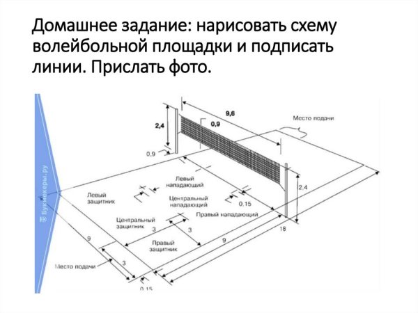 Волейбольная площадка схема и разметка