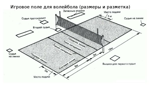 Игровое поле для волейбола Размеры и разметка