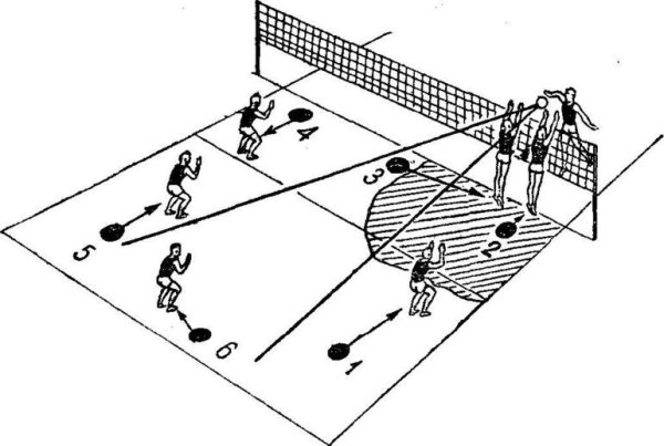 Площадка для пионербола схема