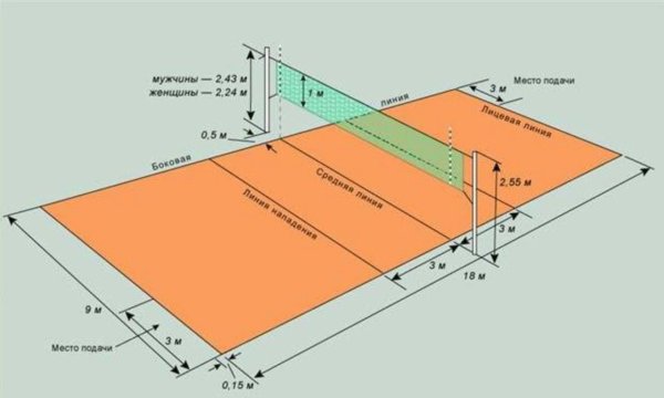 Габариты волейбольной площадки