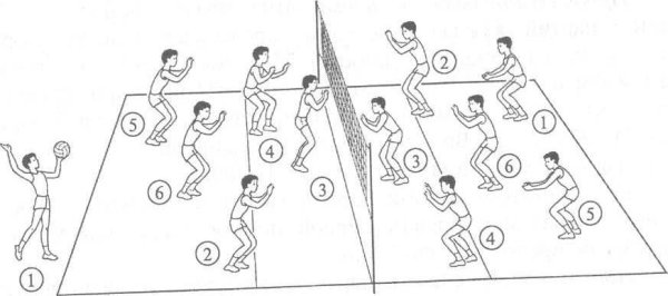 Схема расстановки игроков на волейбольной площадке