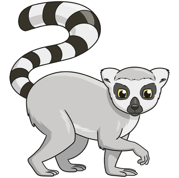 Лемур клипарт