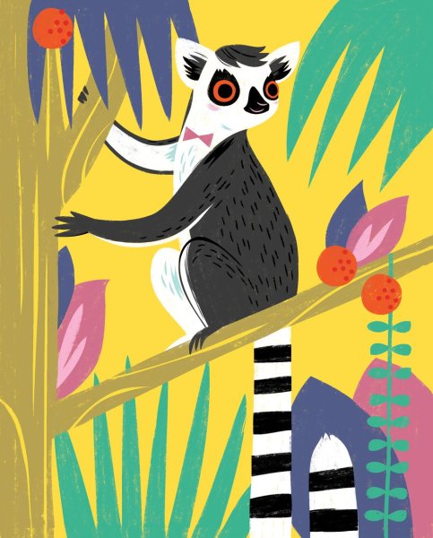 Галаго рисунок