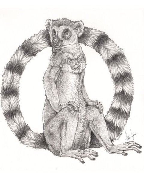 Лемур набросок