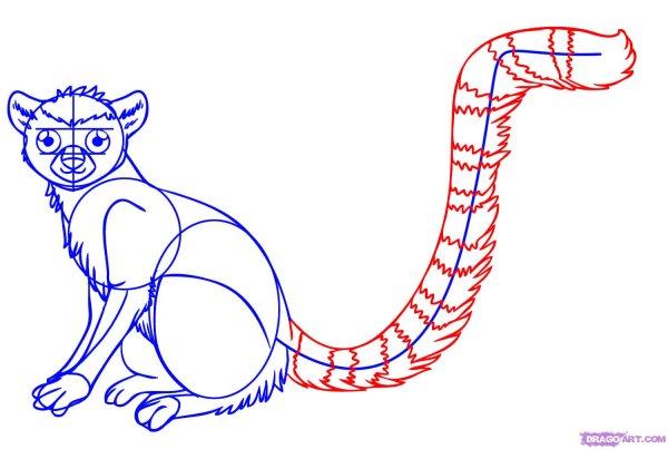 Лемур карандашом