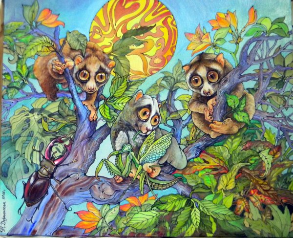 Лемуры батик