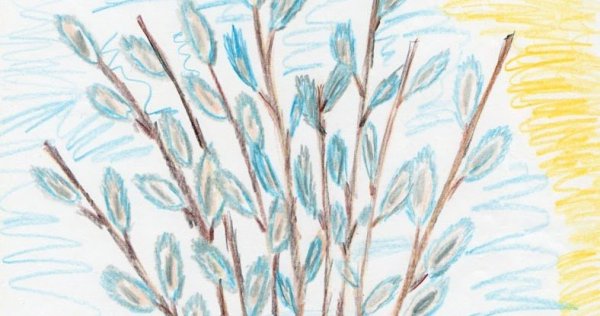 Рисование вербы