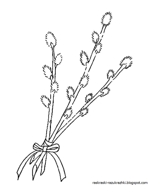 Ива, ветла, Ракита, лоза, Лозина, Верба