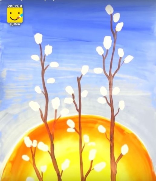 Верба раскраска