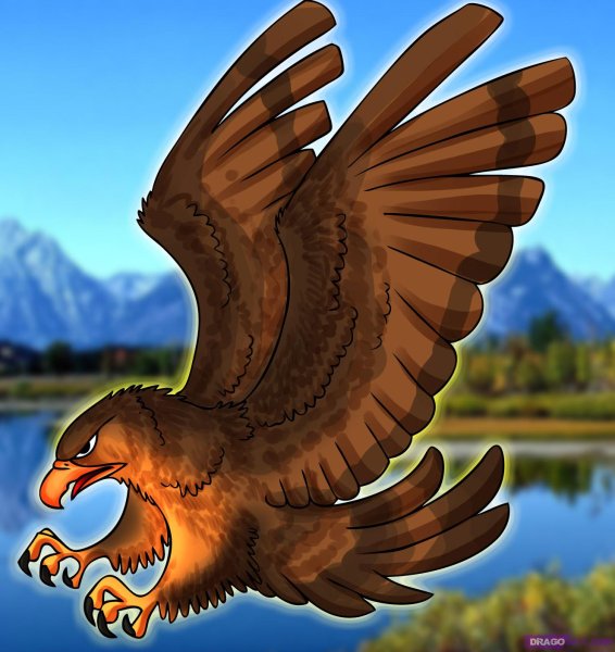 Коршун иллюстрация