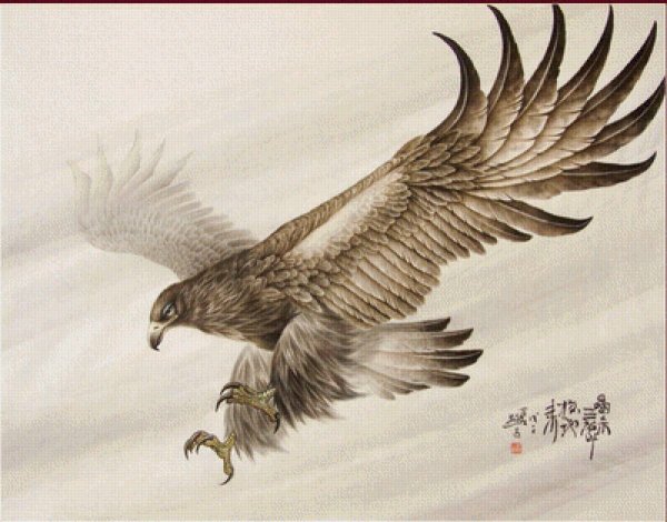 "Белоголовый Орлан"