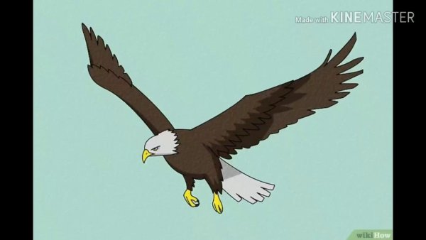 Коршун летит