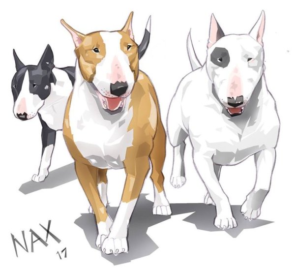 Бультерьер референс