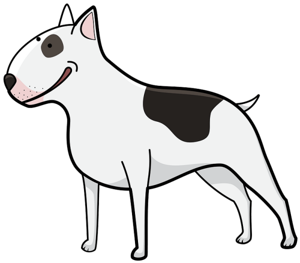 Собака бультерьер