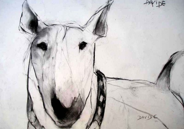 Бультерьер арт