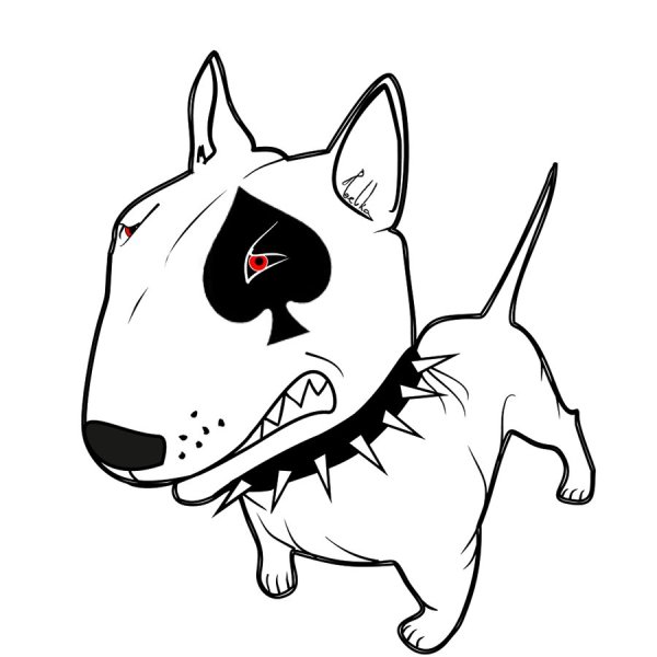 Бультерьер щенок