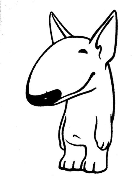 Бультерьер контур