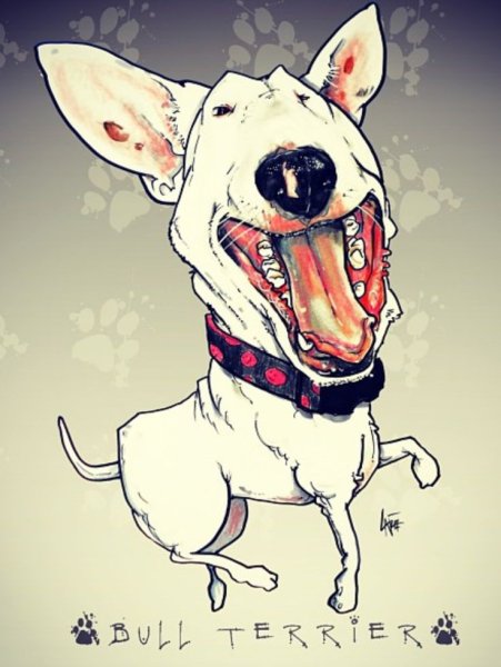 Бультерьер шарж