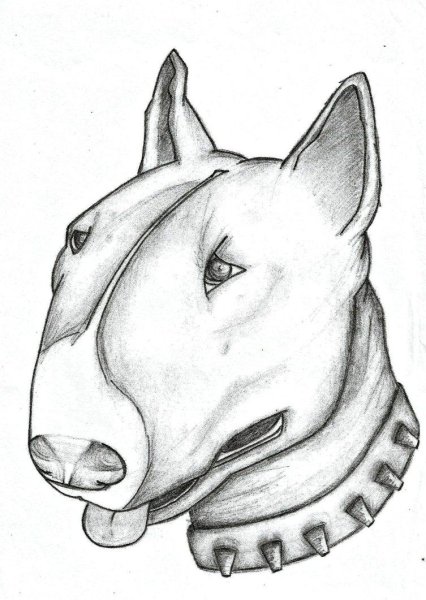 Тату бультерьер эскизы