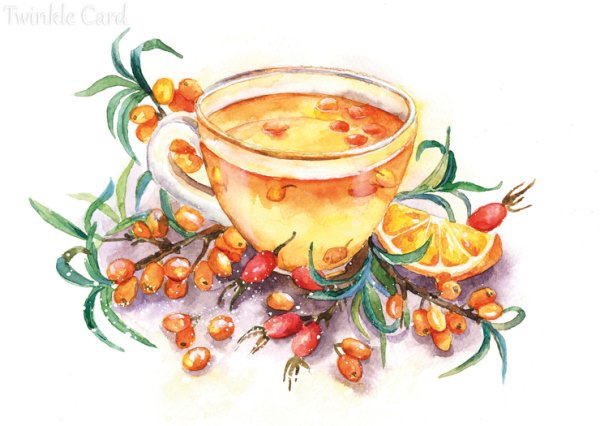 Облепиховый чай акварель