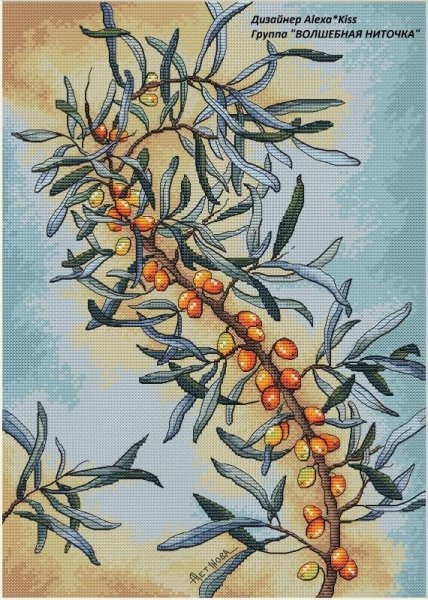 Ветка облепихи акварель