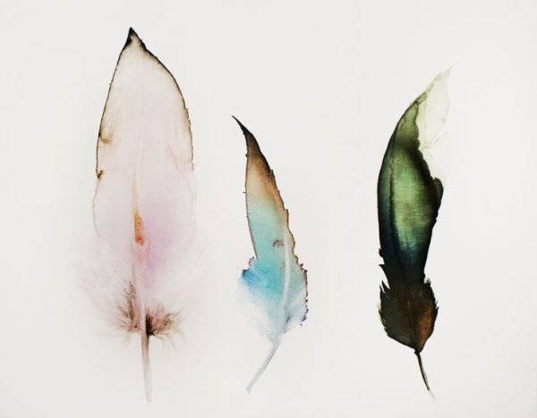 Перо в акварельной технике